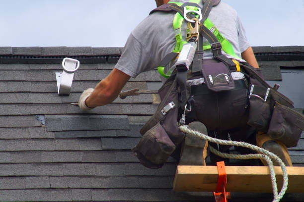 Best Roof Gutter Cleaning  in Perth Amboy, NJ
